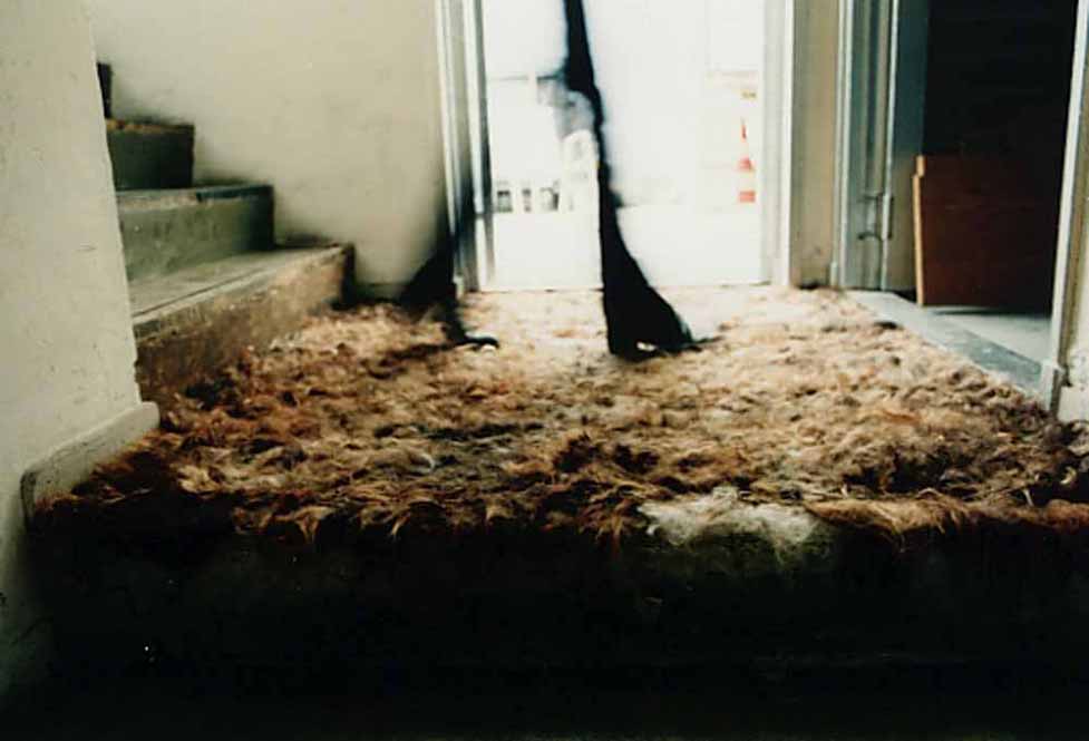 christine clinckx HAIR CARPET 1996
